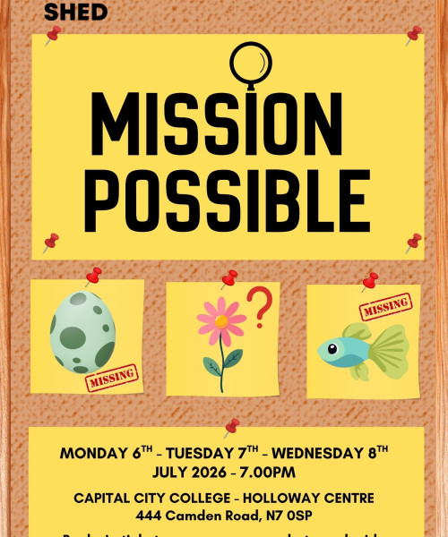 CT Mission Possible poster